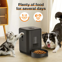 HEYBO Smart Pet Feeder | Automatic, 2L Capacity for Cats & Dogs